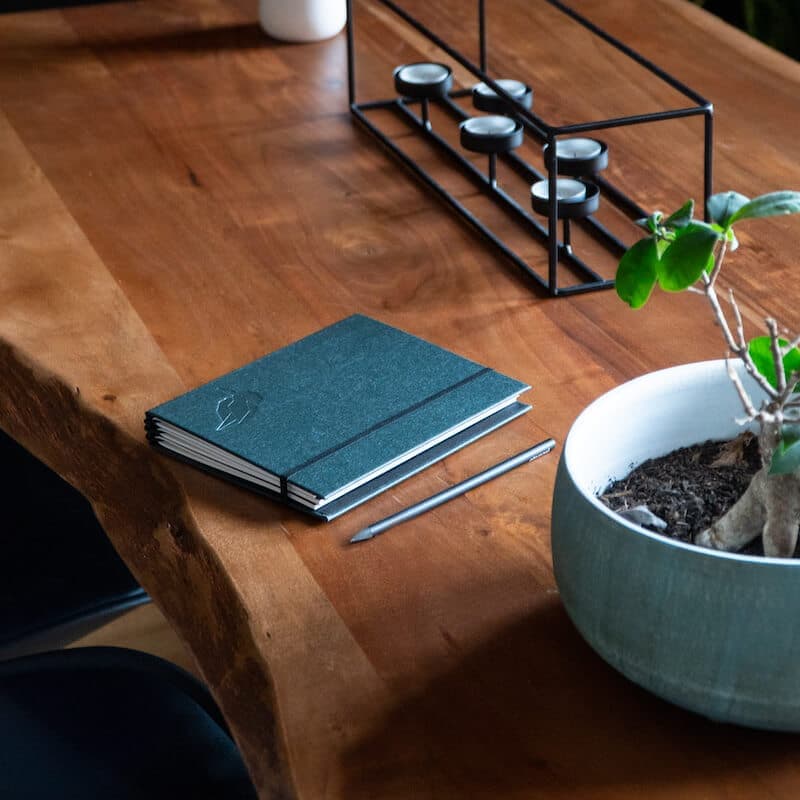 Teal eisvøgel notebook closed on a wooden table beside a pencil and a plant.